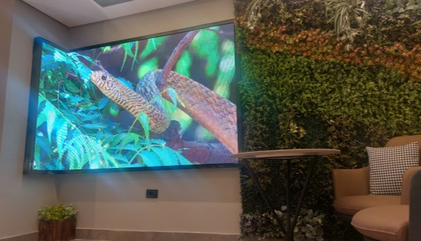 Innovative Flexible LED Screens for Creative Display Solutions Flexible LED screens that can bend and curve, ideal for creative and innovative display designs